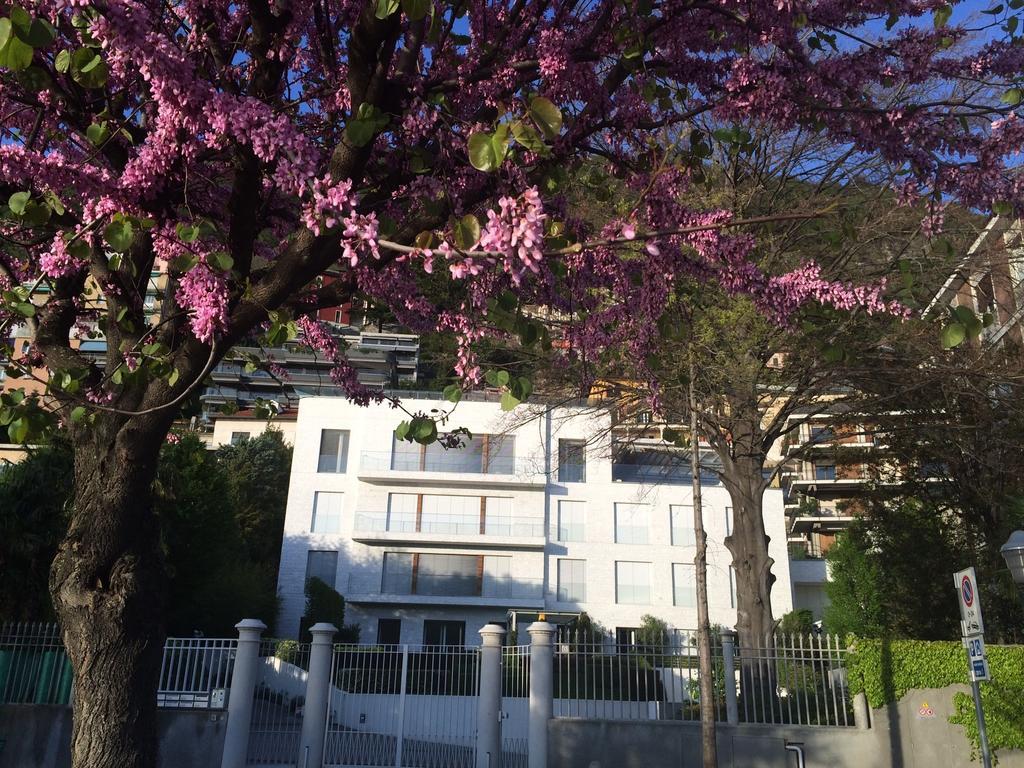Villa Bianca Como Kamer foto